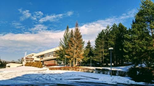 A serene winter scene showcases a modern building nestled among snow-covered grounds and tall evergreen trees under a bright blue sky, ideal for a peaceful retreat or corporate getaway.
