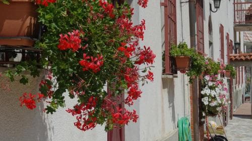 Villa Mimma B&B