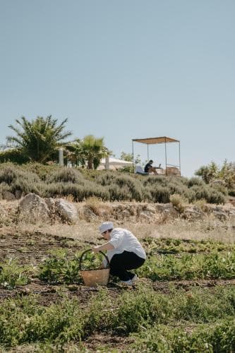 Masseria Susafa