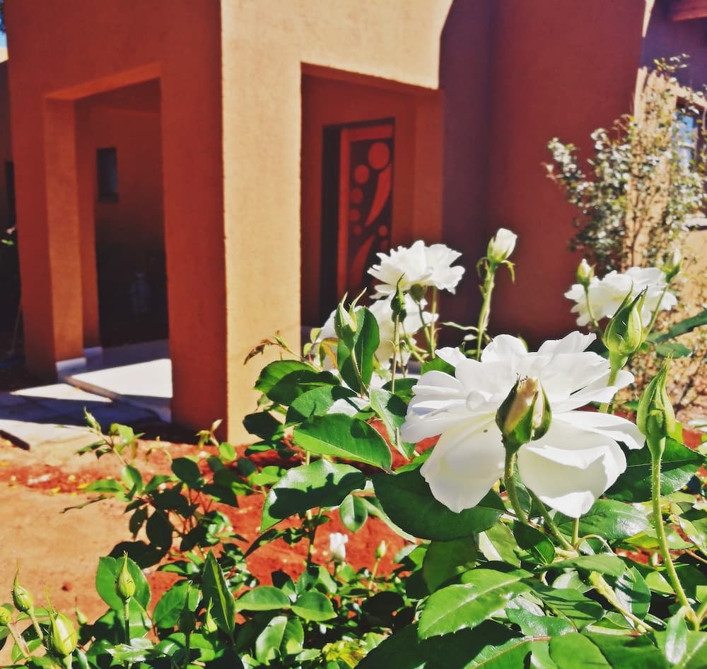 Kures Guest House