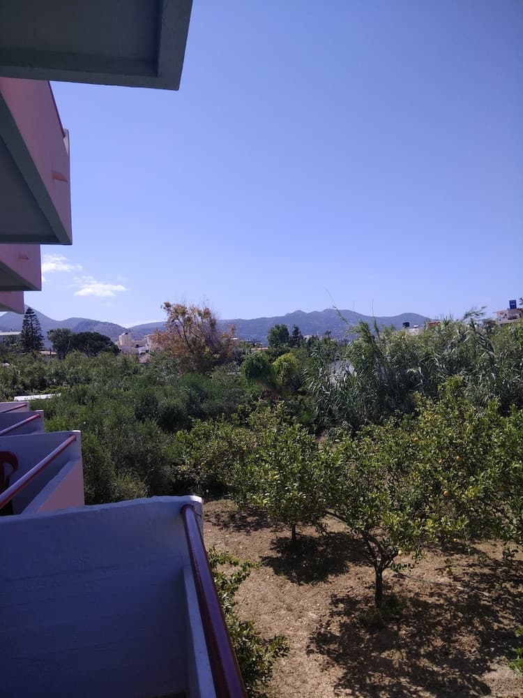 Violetta Hotel