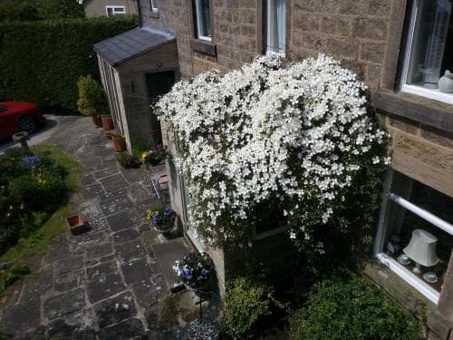 Yew Tree Cottage B&B