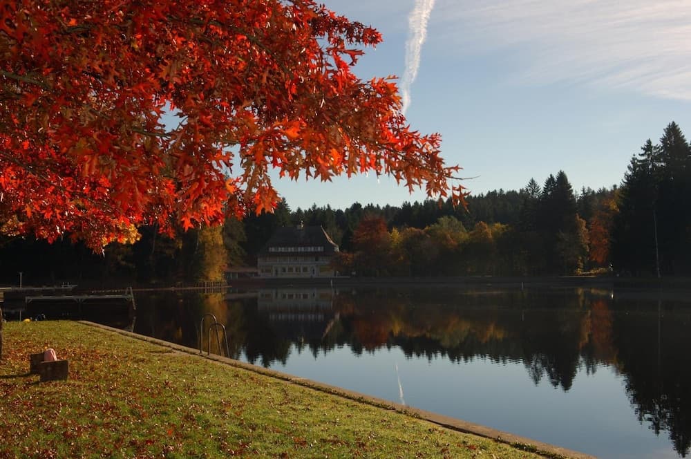 Hotel Waldsee