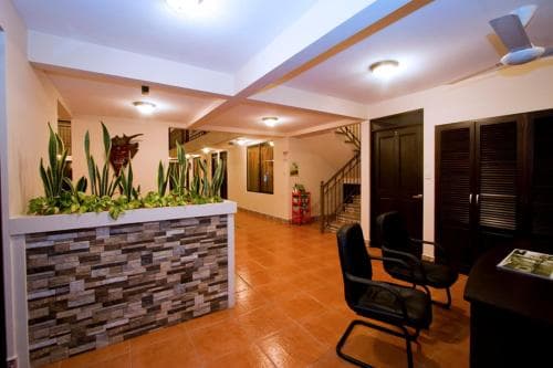 A warmly lit hotel lobby features a stone reception desk adorned with greenery, black chairs, and wooden floors, creating an inviting atmosphere ideal for travelers seeking comfort and relaxation.