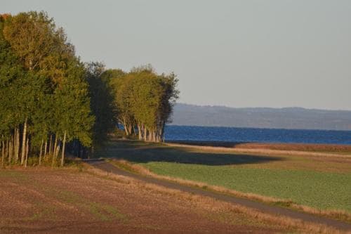 Wingården B & B