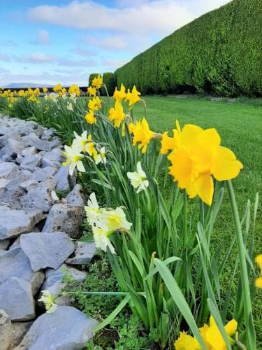 Bunratty Haven B&B