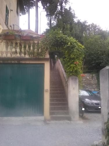 B&B Il Cedro