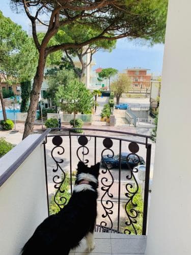 Hotel Baby