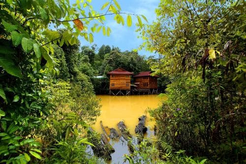 Borneo Tropical Rainforest Resort