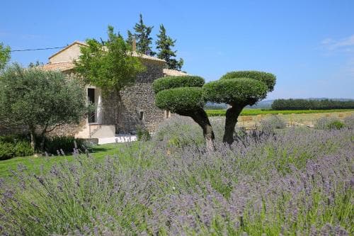 Entre Vigne et Garrigue
