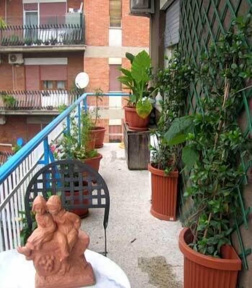 Abruzzese
