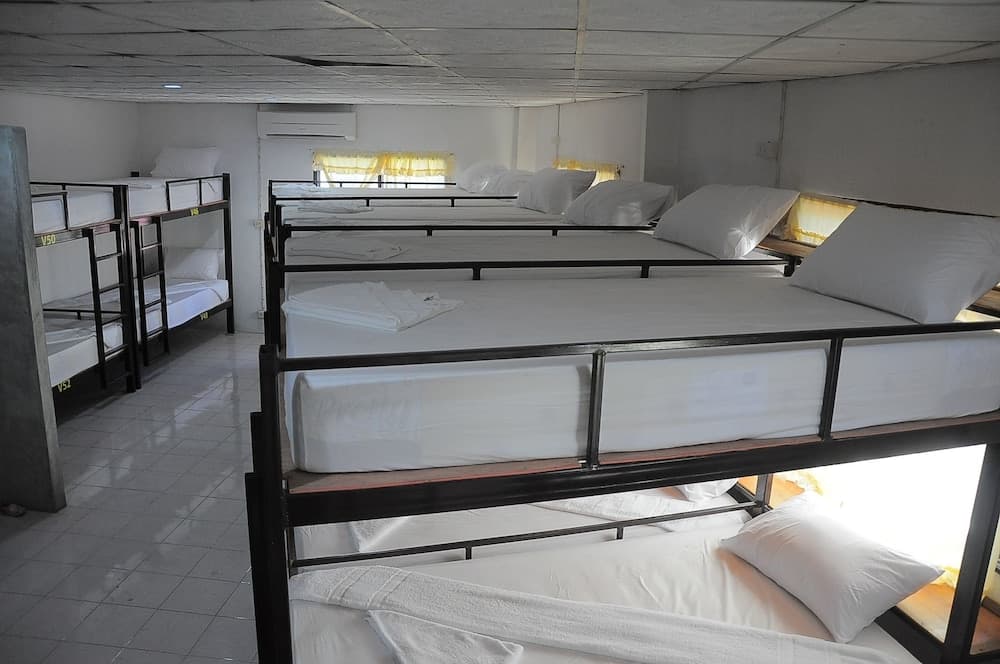 Mickey Hostel