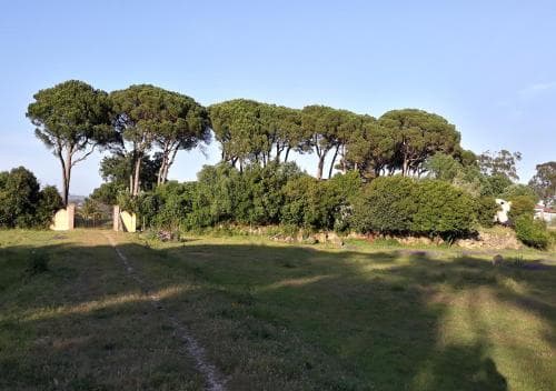 Quinta da Torre