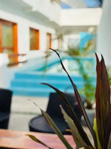 Hotel Lavi
