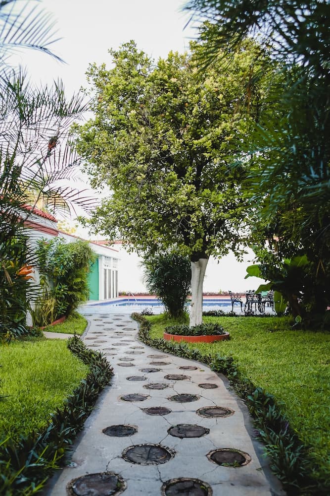 Hotel Colon