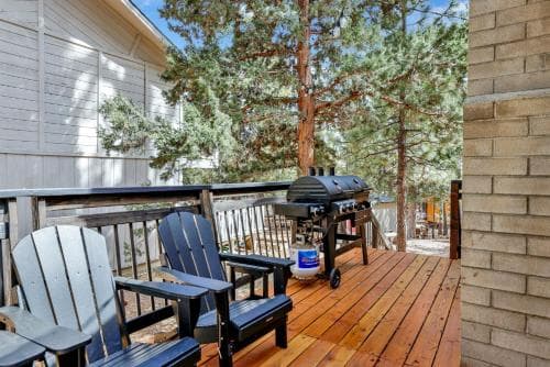 Bruin chalet #2464
