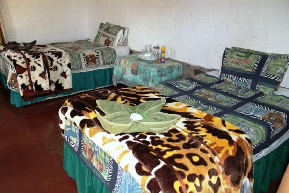 Dimba Safaris