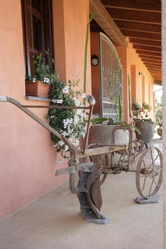 Cuccuruaio' B&b