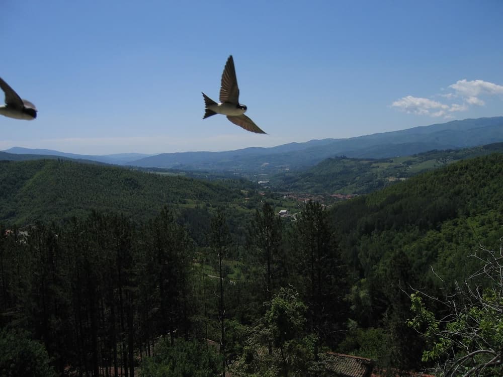 Borgo Tramonte
