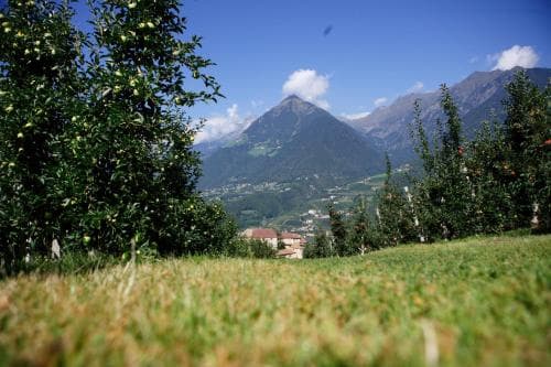 Pension Laurin