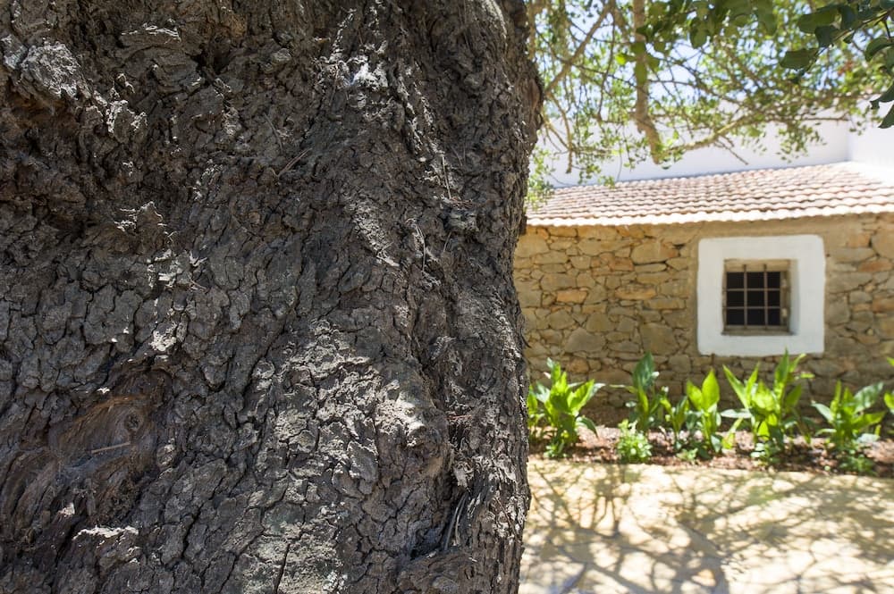 Villa Can Cama