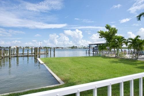 Delmar Dolphin