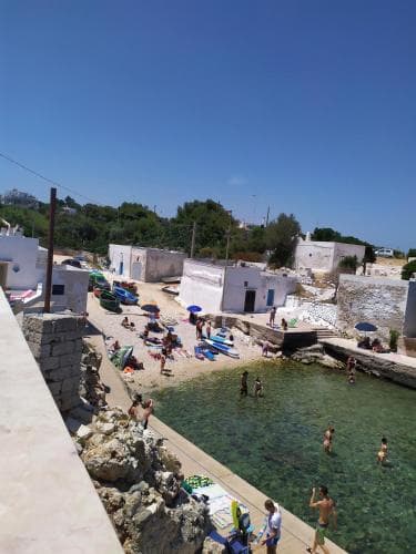 B&B Alalama