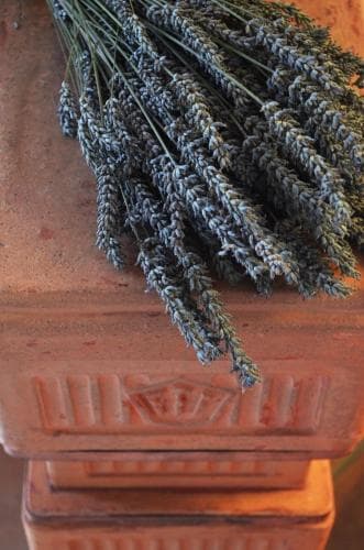 Bed & Breakfast L'Alberone
