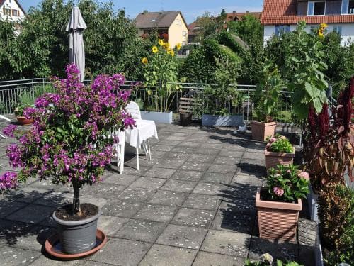 Ferienhaus Leiss
