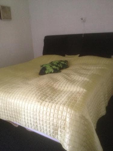 A cozy bedroom with a neatly made bed featuring a yellow quilted cover and a decorative pillow, set against simple white walls, ideal for travelers seeking a comfortable and minimalist accommodation.