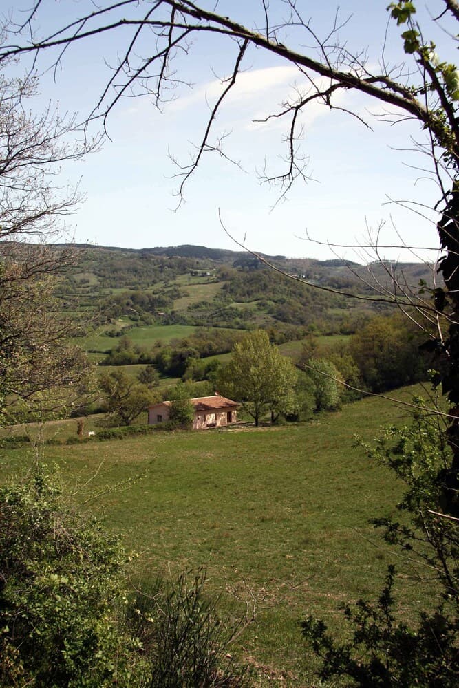 Terre Brune