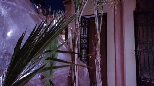 Riad Gallery 49