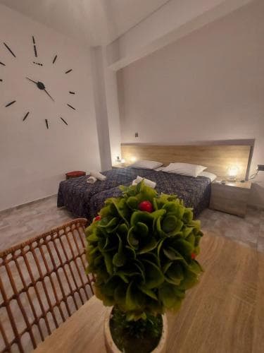 Diana Rooms