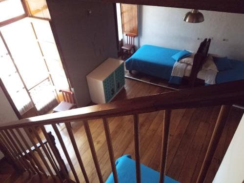Hump Day Hostel