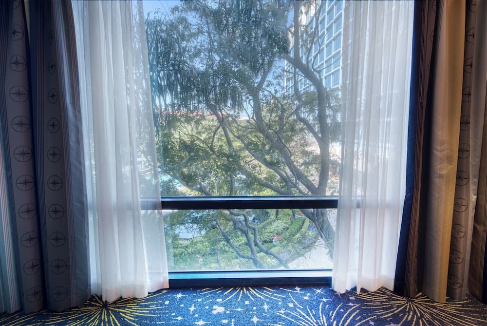 Disneyland Hotel