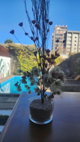 Coloria Hostel