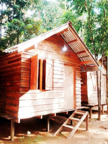 A serene wooden cabin nestled in a lush forest setting, featuring a rustic ladder and shaded porch, evokes a tranquil escape ideal for eco-tourism and nature retreats.