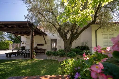 Trecentolivi B&B