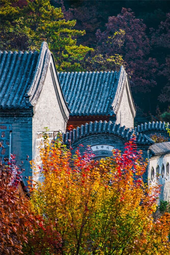 Yunfeng Treehouse