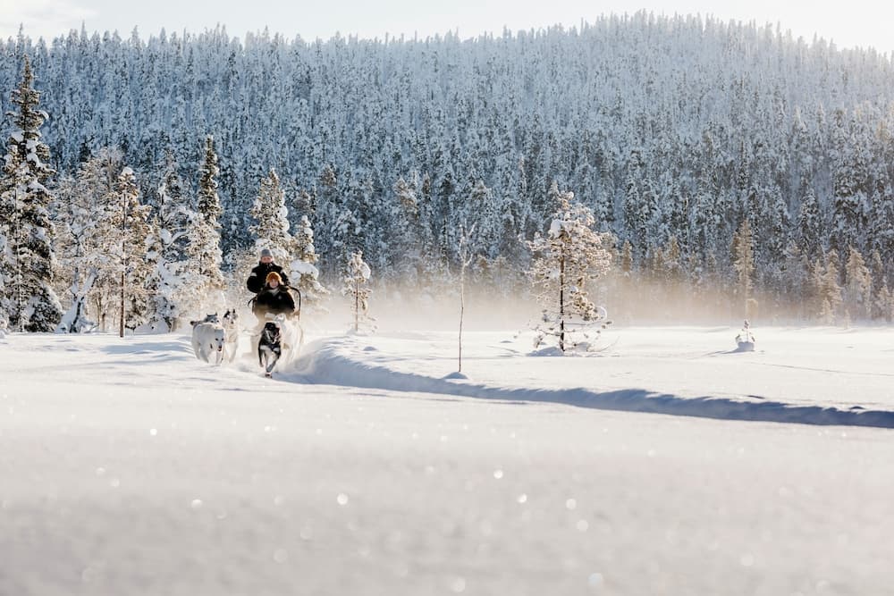 Lapland Hotels Hetta
