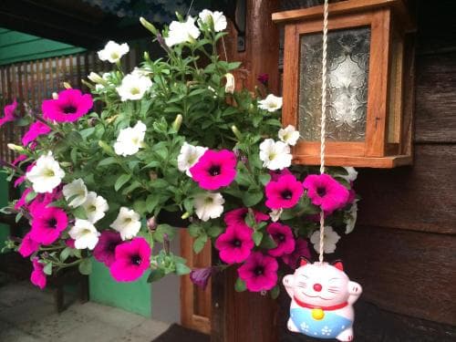 A vibrant hanging basket of pink and white petunias adorns a rustic wooden porch, complemented by a whimsical Maneki-neko figurine, creating a charming and inviting atmosphere perfect for travelers seeking cozy, culturally rich accommodations.