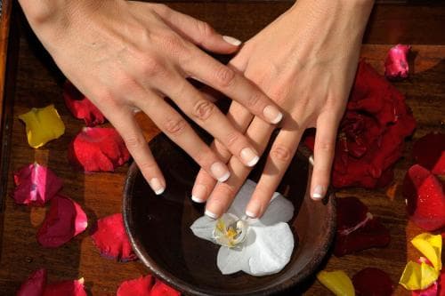 A serene spa setting features hands gently resting over a white orchid in a wooden bowl surrounded by vibrant rose petals, evoking relaxation and self-care for wellness travelers.