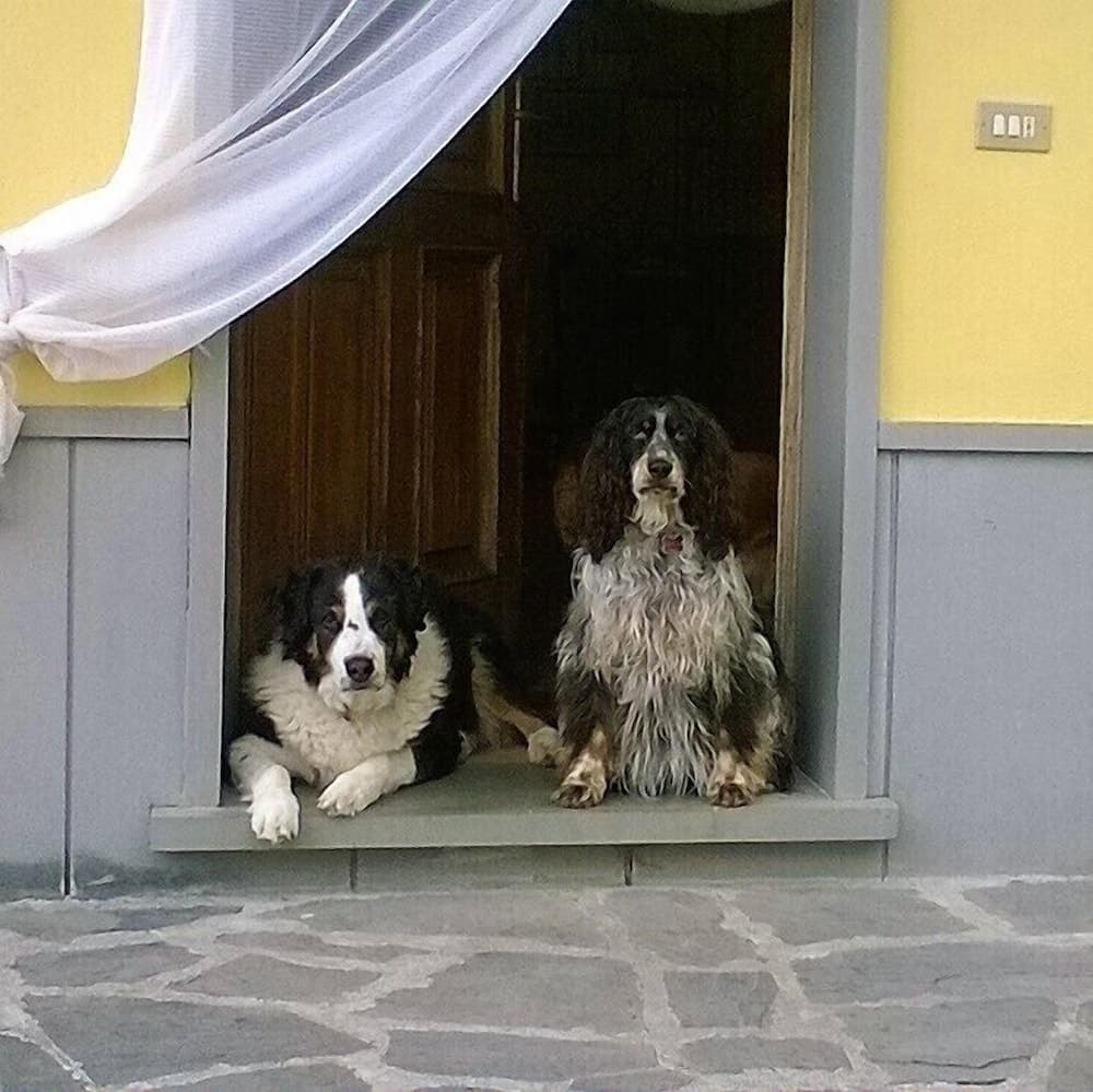 B&B Villa Rosetta