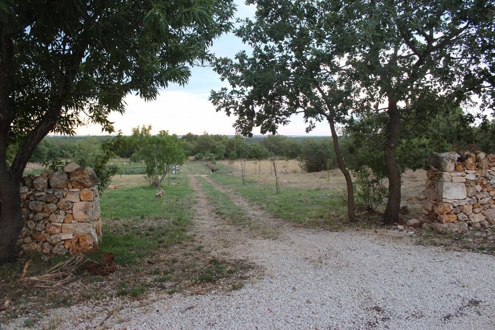 Tenuta Tedone Consolini