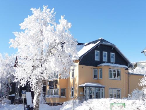 Pension Haus Flora