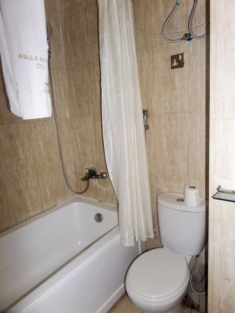 Ayalla Hotels now Elomas Hotel-Executive
