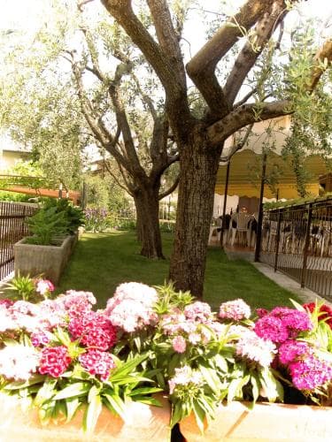 Azzurra Hotel