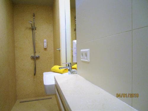 Pension Willischza