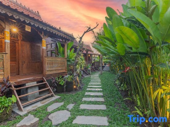 Abian Ubud View