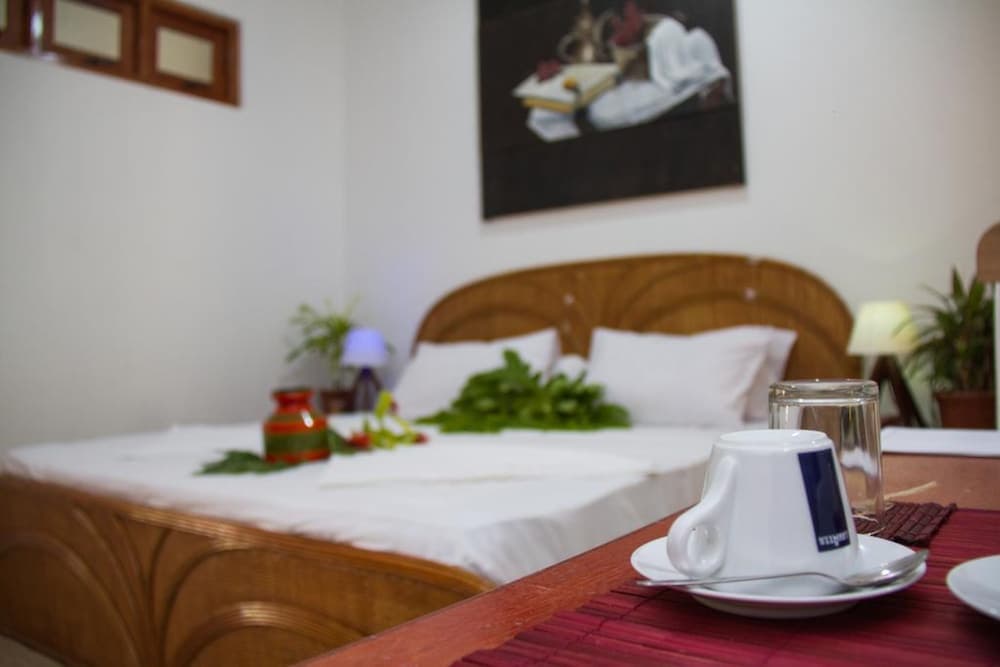Alvi Star Inn